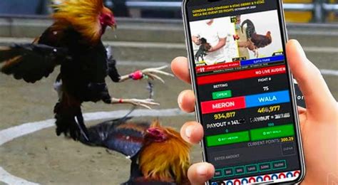 voltplex for cockfighting how to use|They met through Facebook Messenger. Now one is dead and .